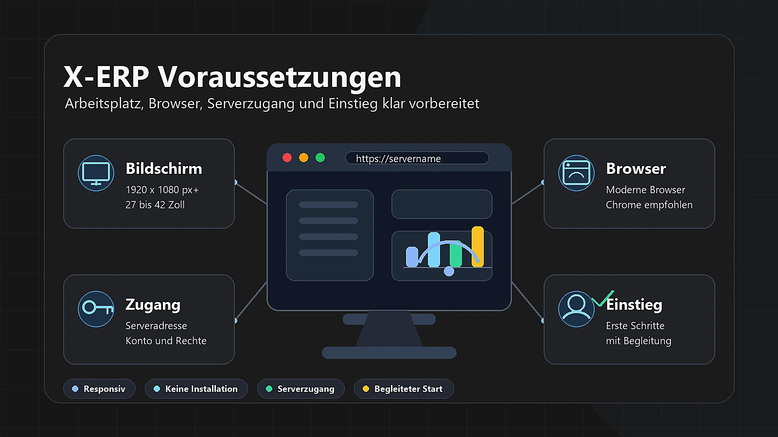 Symbolic graphic for X-ERP Requirements: screen, browser, server access and guided entry